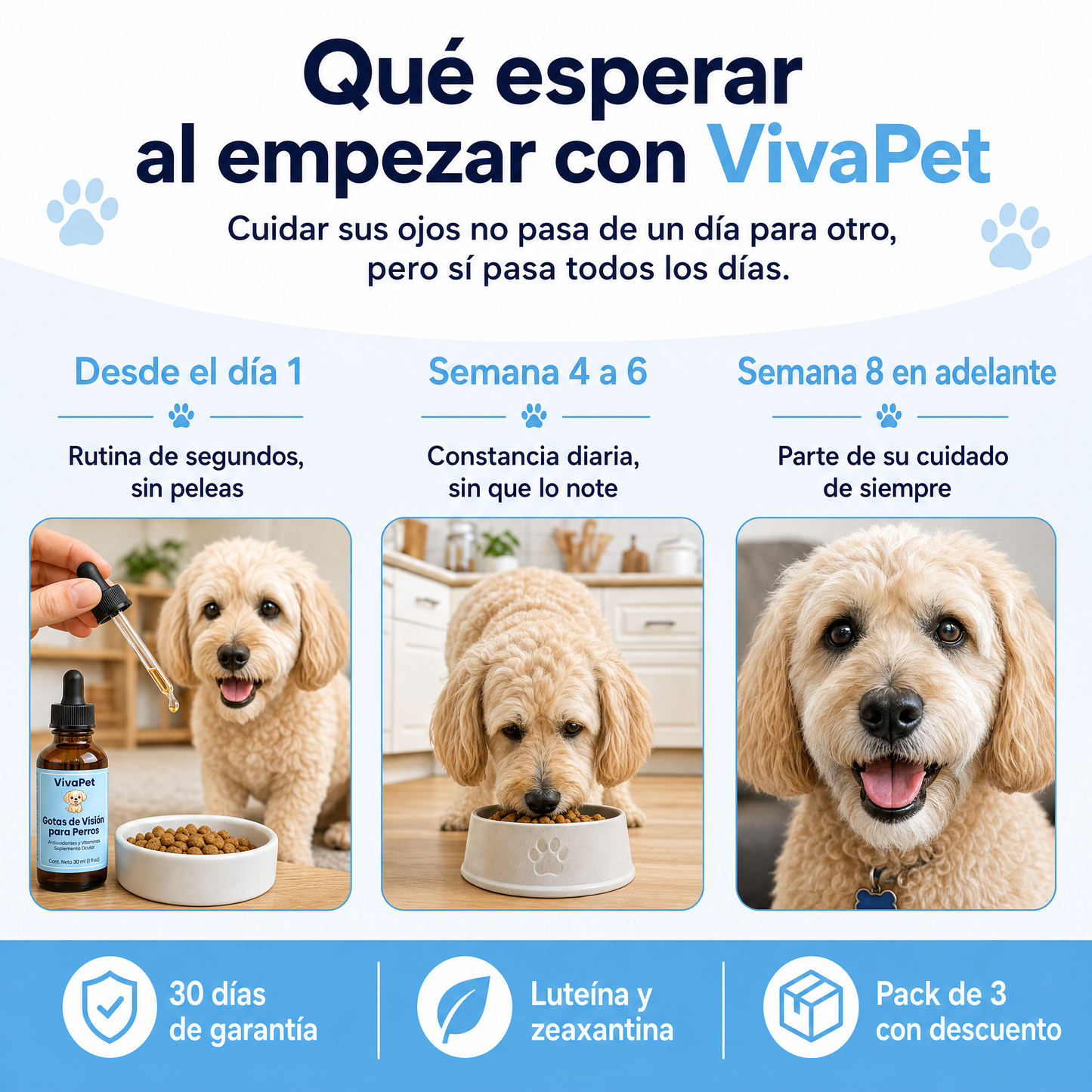 Gotas Orales De Apoyo Visual Para Perros