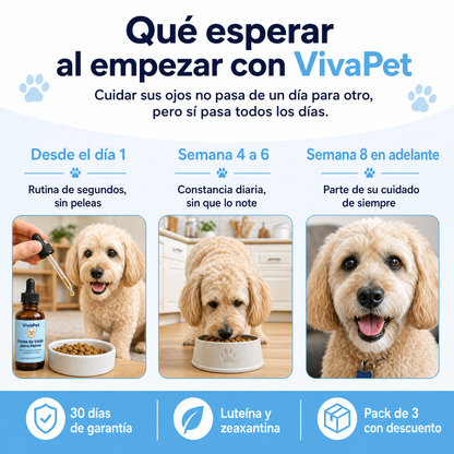 Gotas Orales De Apoyo Visual Para Perros