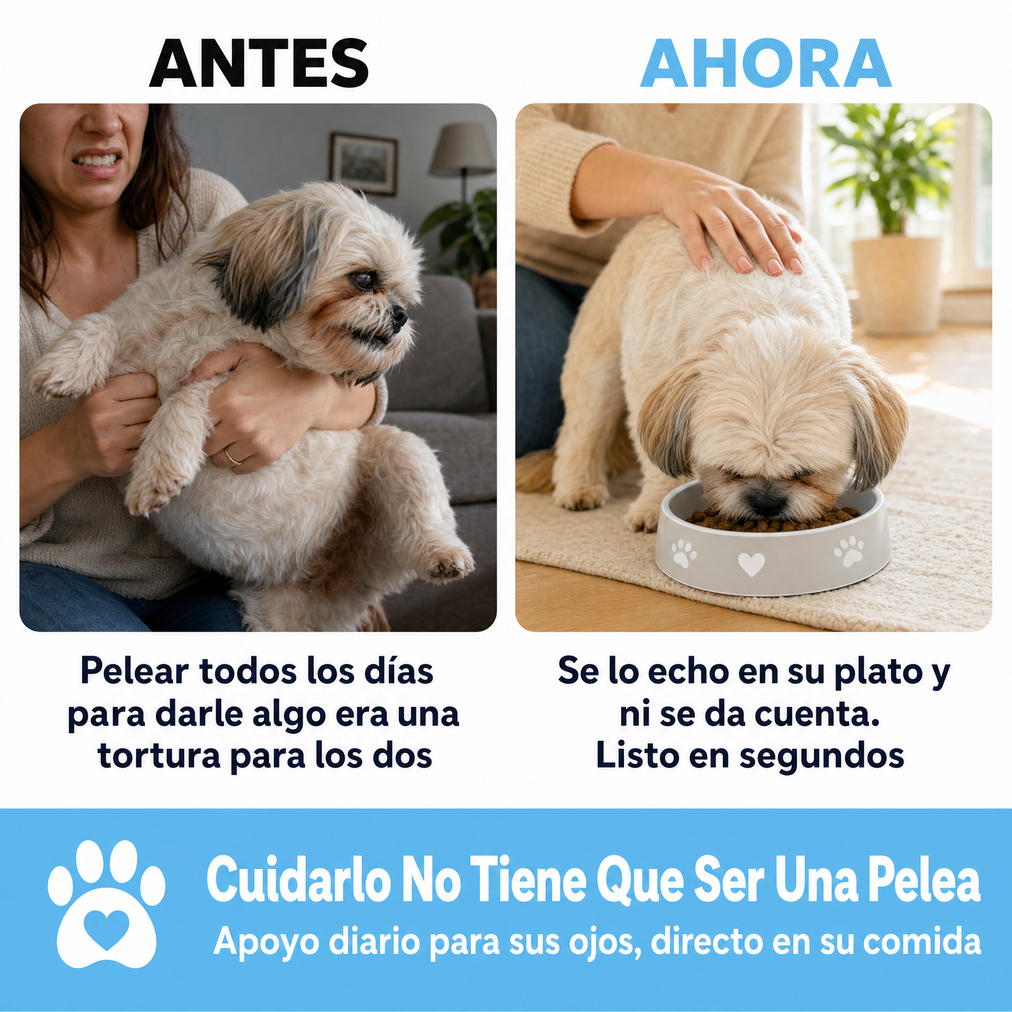Gotas Orales De Apoyo Visual Para Perros